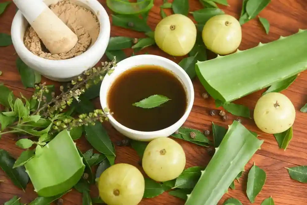 Ayurvedic Hair Care Tips for Stronger Roots & Less Breakage