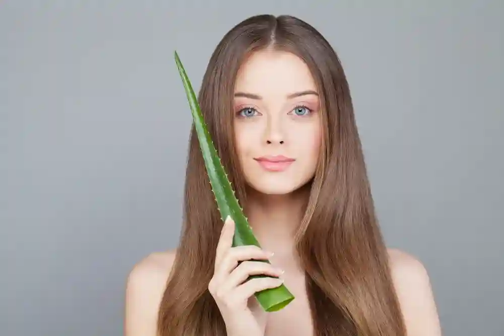 Organic Hair Care 10 Smart Clean Beauty Solutions for a Healthy Scalp