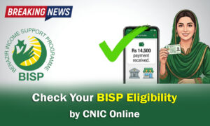 BISP Status Check Online 2026 Pakistan  CNIC Eligibility & Payment Update